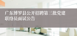 广东博罗县公开招聘第三批党建联络员面试公告 