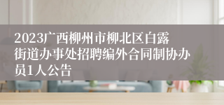 2023广西柳州市柳北区白露街道办事处招聘编外合同制协办员1人公告