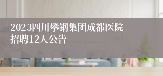 2023四川攀钢集团成都医院招聘12人公告