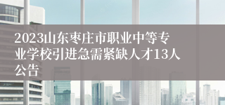 2023山东枣庄市职业中等专业学校引进急需紧缺人才13人公告