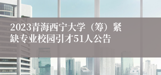 2023青海西宁大学（筹）紧缺专业校园引才51人公告