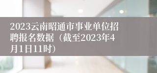 2023云南昭通市事业单位招聘报名数据（截至2023年4月1日11时）
