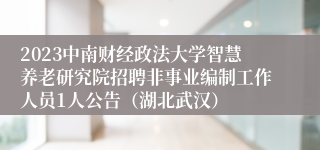 2023中南财经政法大学智慧养老研究院招聘非事业编制工作人员1人公告（湖北武汉）