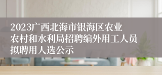 2023广西北海市银海区农业农村和水利局招聘编外用工人员拟聘用人选公示