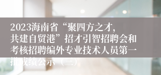 2023海南省“聚四方之才，共建自贸港”招才引智招聘会和考核招聘编外专业技术人员第一批成绩公示（三）