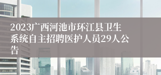 2023广西河池市环江县卫生系统自主招聘医护人员29人公告