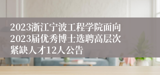 2023浙江宁波工程学院面向2023届优秀博士选聘高层次紧缺人才12人公告