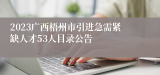 2023广西梧州市引进急需紧缺人才53人目录公告