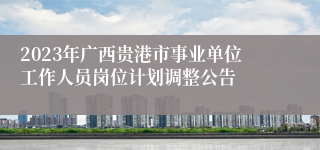 2023年广西贵港市事业单位工作人员岗位计划调整公告