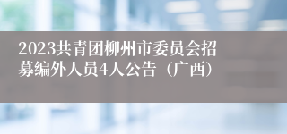 2023共青团柳州市委员会招募编外人员4人公告（广西）