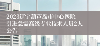 2023辽宁葫芦岛市中心医院引进急需高级专业技术人员2人公告