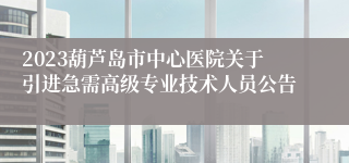 2023葫芦岛市中心医院关于引进急需高级专业技术人员公告