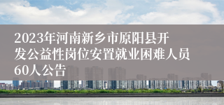 2023年河南新乡市原阳县开发公益性岗位安置就业困难人员60人公告