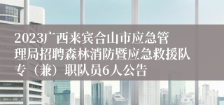 2023广西来宾合山市应急管理局招聘森林消防暨应急救援队专（兼）职队员6人公告