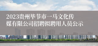 2023贵州毕节市一马文化传媒有限公司招聘拟聘用人员公示