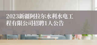 2023新疆阿拉尔水利水电工程有限公司招聘1人公告