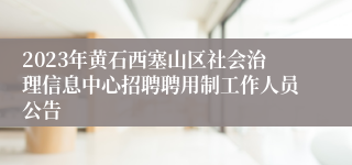 2023年黄石西塞山区社会治理信息中心招聘聘用制工作人员公告