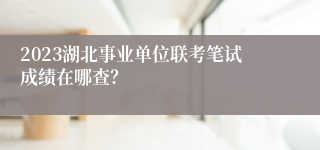 2023湖北事业单位联考笔试成绩在哪查？