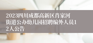 2023四川成都高新区肖家河街道公办幼儿园招聘编外人员12人公告