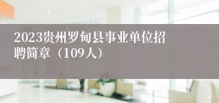 2023贵州罗甸县事业单位招聘简章（109人）