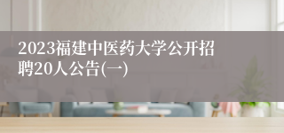 2023福建中医药大学公开招聘20人公告(一)