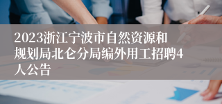 2023浙江宁波市自然资源和规划局北仑分局编外用工招聘4人公告