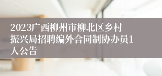 2023广西柳州市柳北区乡村振兴局招聘编外合同制协办员1人公告