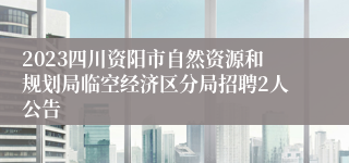 2023四川资阳市自然资源和规划局临空经济区分局招聘2人公告