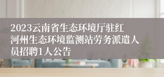 2023云南省生态环境厅驻红河州生态环境监测站劳务派遣人员招聘1人公告