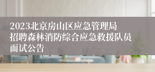 2023北京房山区应急管理局招聘森林消防综合应急救援队员面试公告