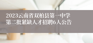 2023云南省双柏县第一中学第二批紧缺人才招聘6人公告