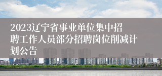 2023辽宁省事业单位集中招聘工作人员部分招聘岗位削减计划公告