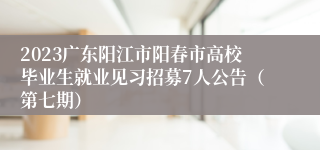 2023广东阳江市阳春市高校毕业生就业见习招募7人公告（第七期）