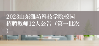 2023山东潍坊科技学院校园招聘教师12人公告（第一批次）