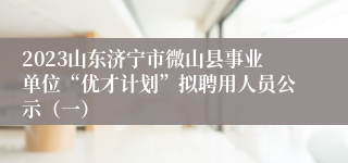 2023山东济宁市微山县事业单位“优才计划”拟聘用人员公示（一）