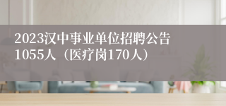 2023汉中事业单位招聘公告1055人（医疗岗170人）