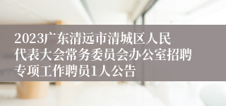 2023广东清远市清城区人民代表大会常务委员会办公室招聘专项工作聘员1人公告