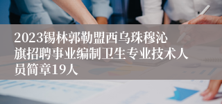 2023锡林郭勒盟西乌珠穆沁旗招聘事业编制卫生专业技术人员简章19人