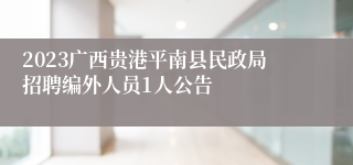 2023广西贵港平南县民政局招聘编外人员1人公告