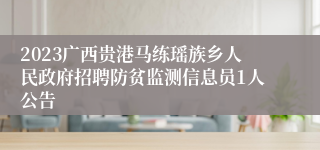 2023广西贵港马练瑶族乡人民政府招聘防贫监测信息员1人公告