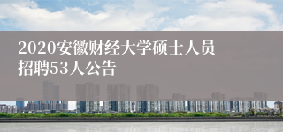 2020安徽财经大学硕士人员招聘53人公告