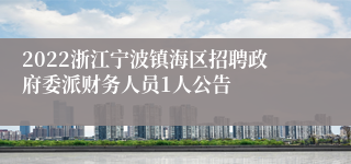 2022浙江宁波镇海区招聘政府委派财务人员1人公告