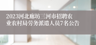 2023河北廊坊三河市招聘农业农村局劳务派遣人员7名公告