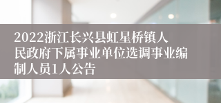 2022浙江长兴县虹星桥镇人民政府下属事业单位选调事业编制人员1人公告