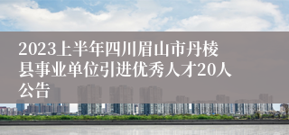 2023上半年四川眉山市丹棱县事业单位引进优秀人才20人公告