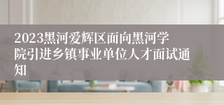 2023黑河爱辉区面向黑河学院引进乡镇事业单位人才面试通知