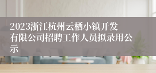 2023浙江杭州云栖小镇开发有限公司招聘工作人员拟录用公示