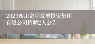 2023四川资阳发展投资集团有限公司招聘2人公告