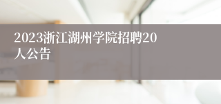 2023浙江湖州学院招聘20人公告