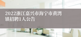 2022浙江嘉兴市海宁市黄湾镇招聘1人公告